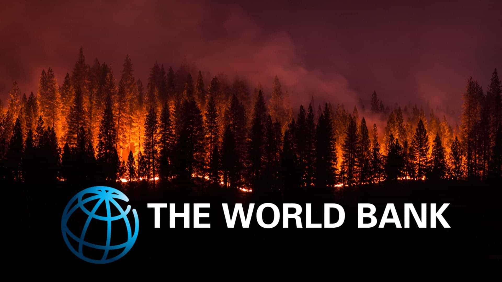 Indonesia Suffered $5.2bn Economic Loss Due to Man-made Forest Fires: World Bank