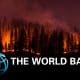 Indonesia Suffered $5.2bn Economic Loss Due to Man-made Forest Fires: World Bank