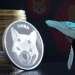 Shiba Inu Welcomes a New Whale with a 3.4 Trillion SHIB Transaction