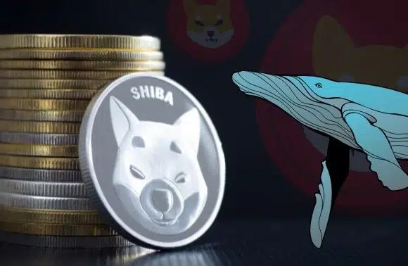 Shiba Inu Welcomes a New Whale with a 3.4 Trillion SHIB Transaction