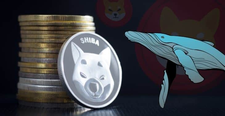 Shiba Inu Welcomes a New Whale with a 3.4 Trillion SHIB Transaction