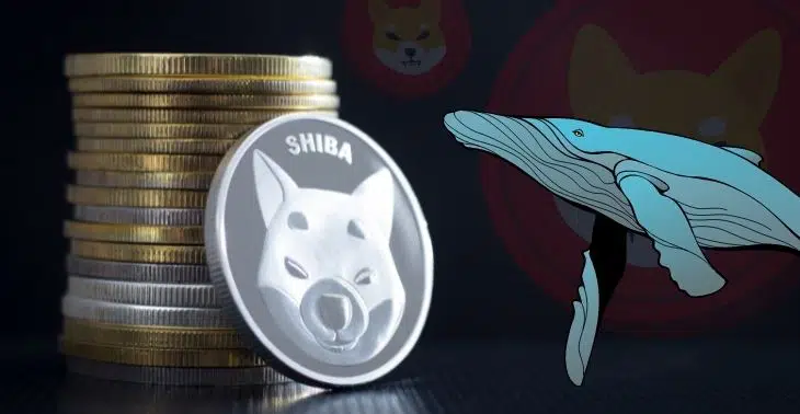 Shiba Inu Welcomes a New Whale with a 3.4 Trillion SHIB Transaction