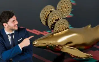 Cardano Witnessing an Increase in Purchases From Institutional Players and Whales
